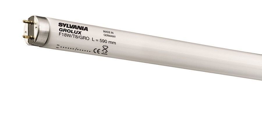 Sylvania G13 Duy Grolux F36W Akvaryum Ampul 0001524