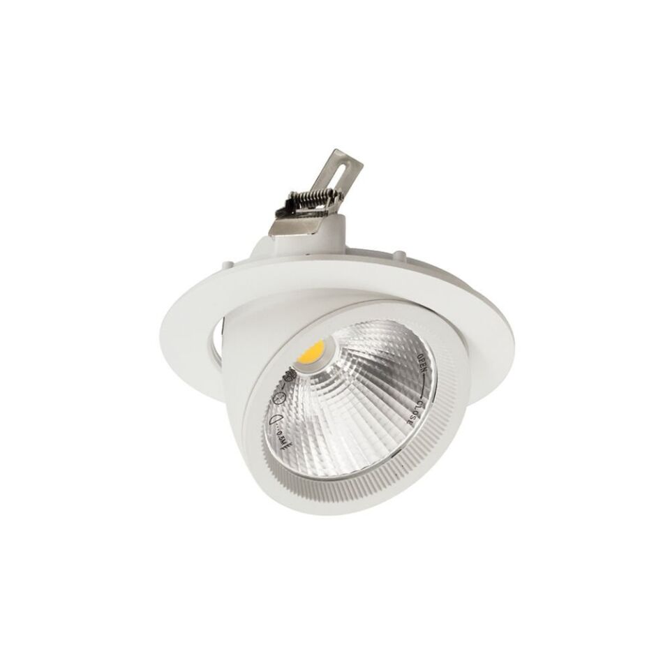 ACK 30W COB Led Salyangoz Armatür 6500K AD36-00430