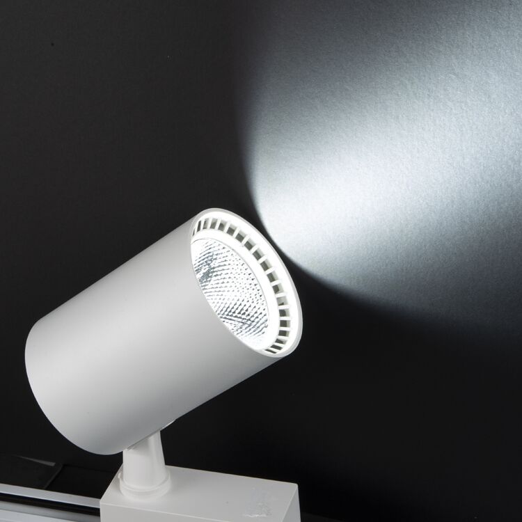 Noas 30W 6500K Beyaz Işık Beyaz Paris Led Ray Spot YL29 3001